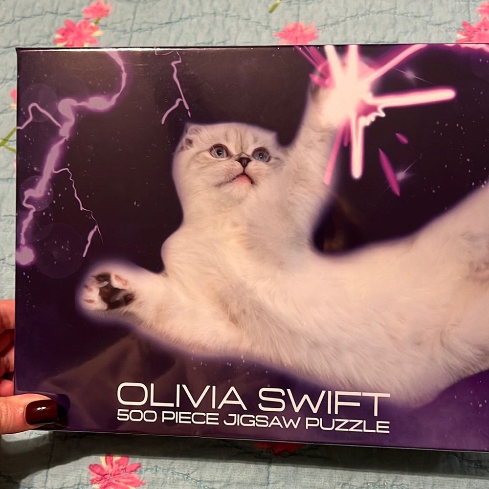 Taylor Swift puzzle
